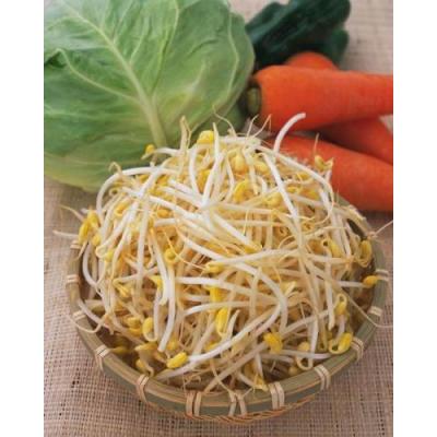芽菜（包）350g