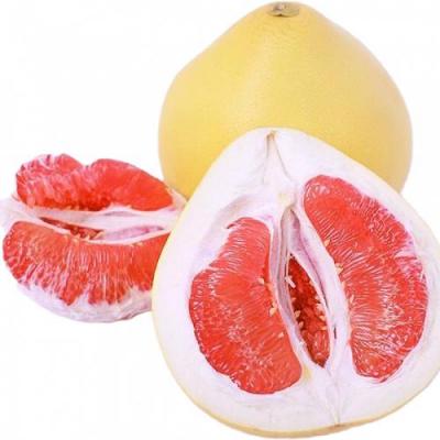 大红柚-（1）